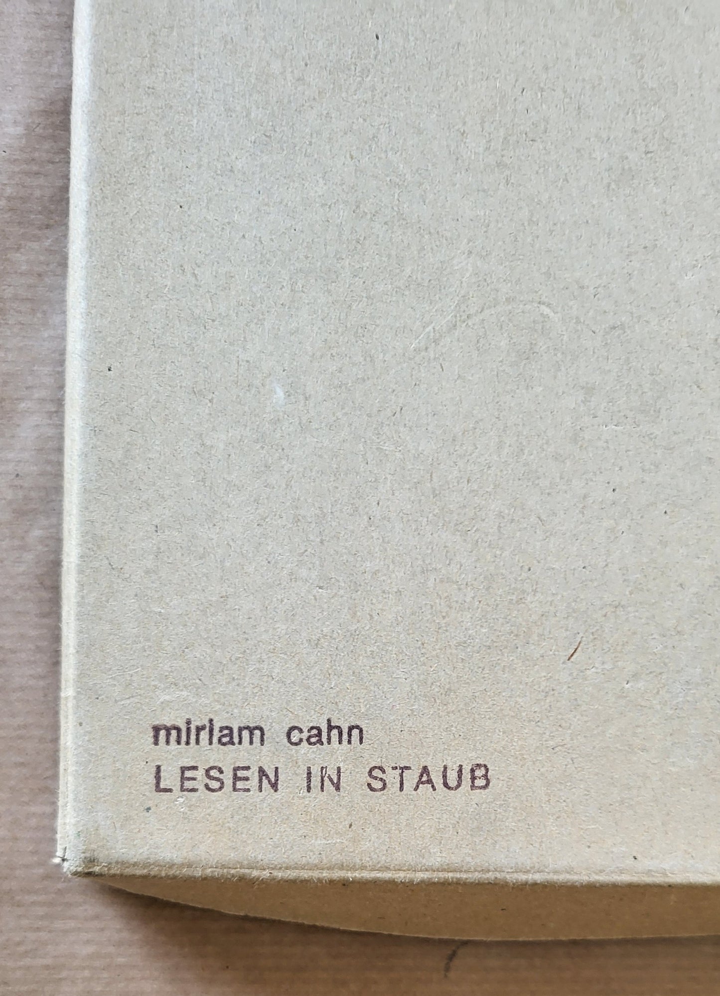 Miriam Cahn Lesen in Staub – BlissBox.ch Kunst Schweiz