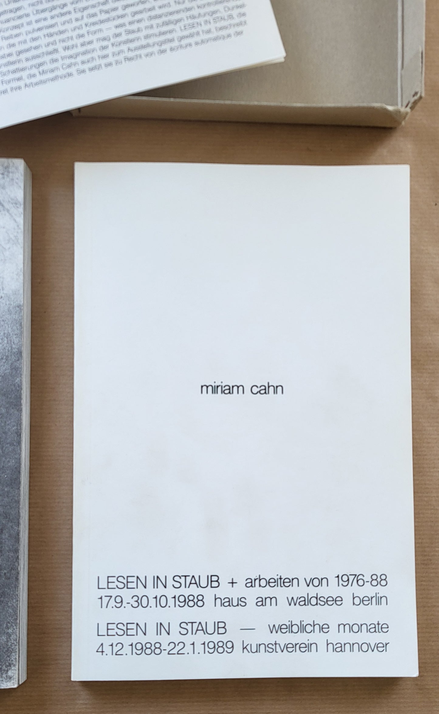 Miriam Cahn Lesen in Staub – BlissBox.ch Kunst Schweiz