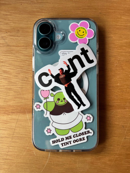 Sticker Elon Musk Cunt – BlissBox.ch Papeterie Schweiz
