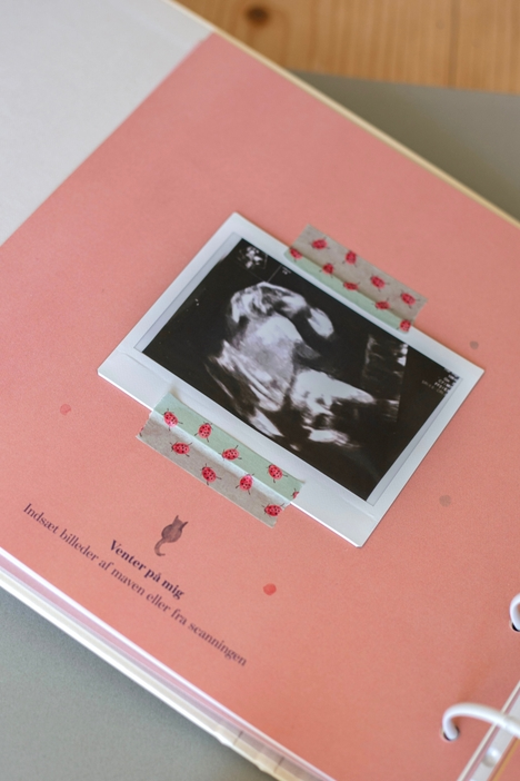 Washi Tape Marienkäfer | BlissBox.ch Papeterie Schweiz