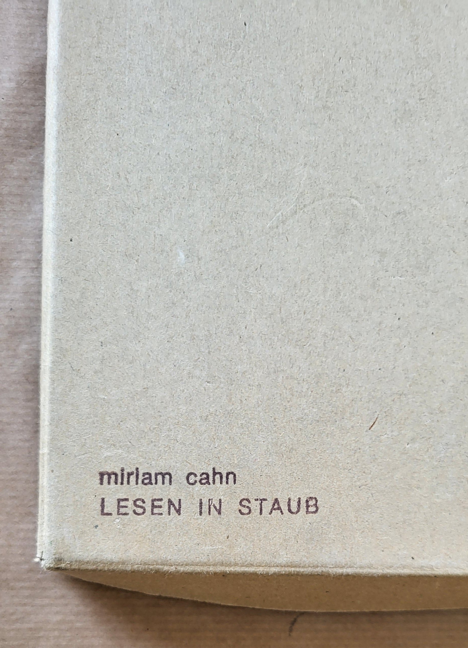 Miriam Cahn Lesen in Staub – BlissBox.ch Kunst Schweiz