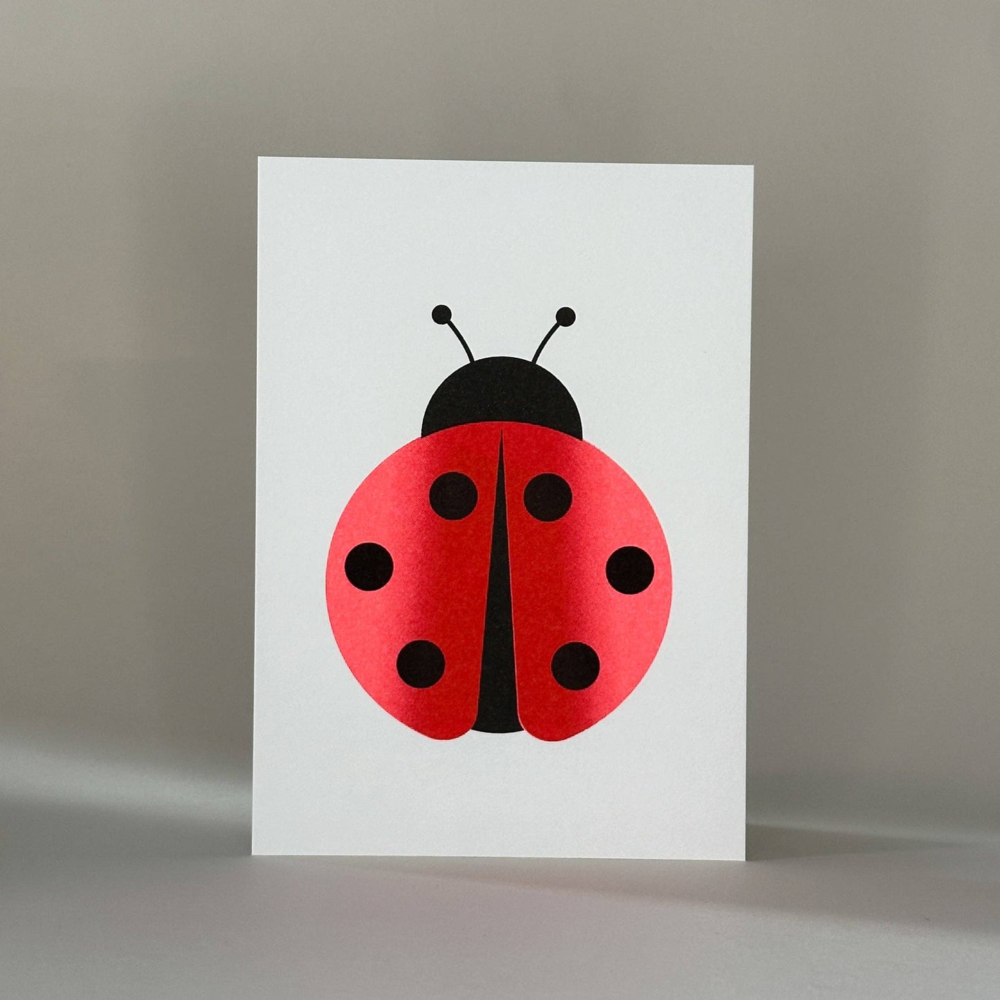 Postkarte Marienkäfer Ladybug BlissBox.ch Papeterie Schweiz Chur