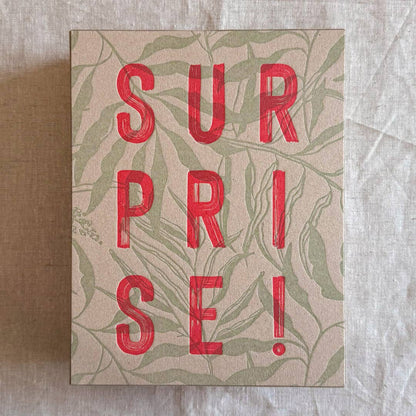 Geschenkbox (leer)  "Surprise!" / Classic+